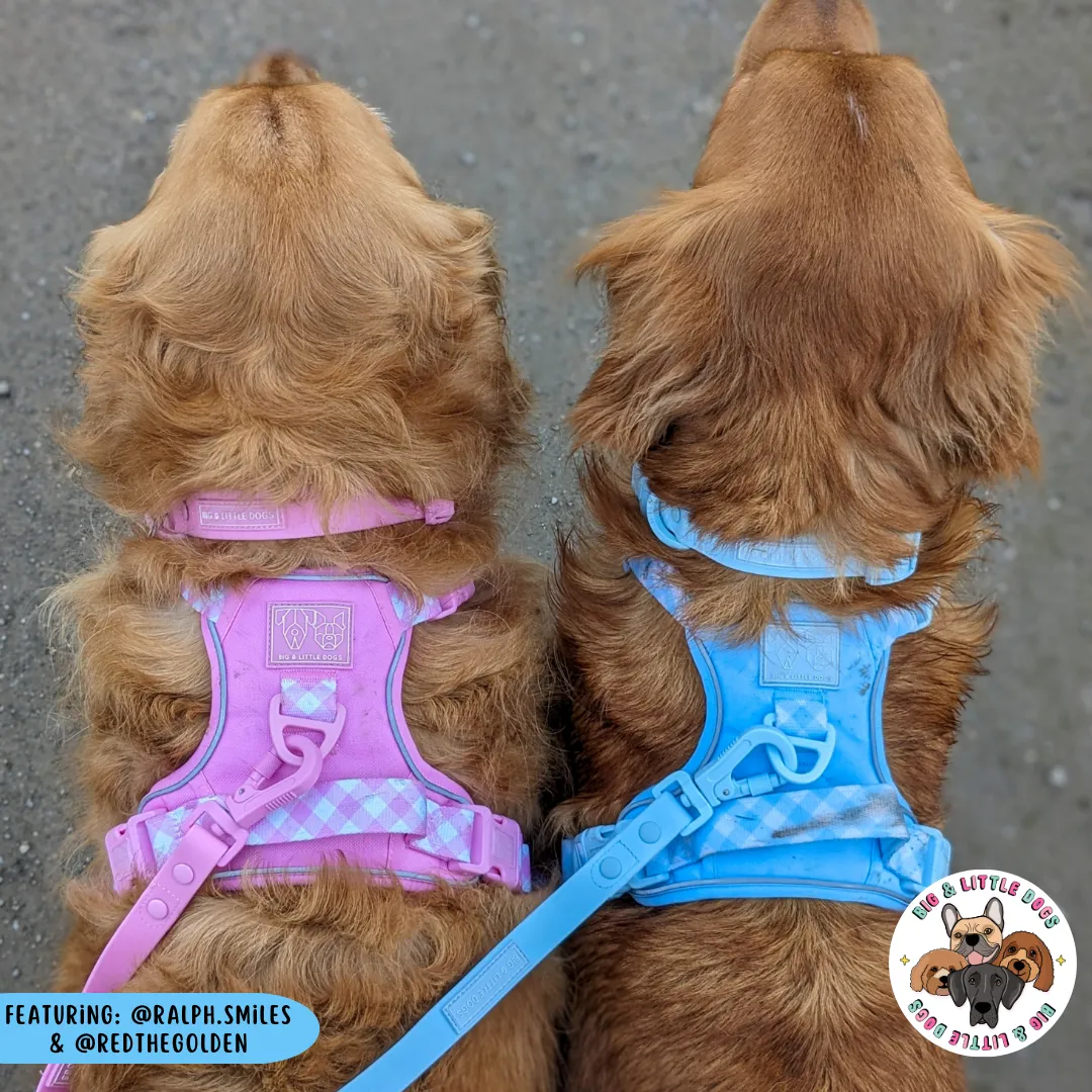 Big & Little Dogs All Rounder Harness - Pink