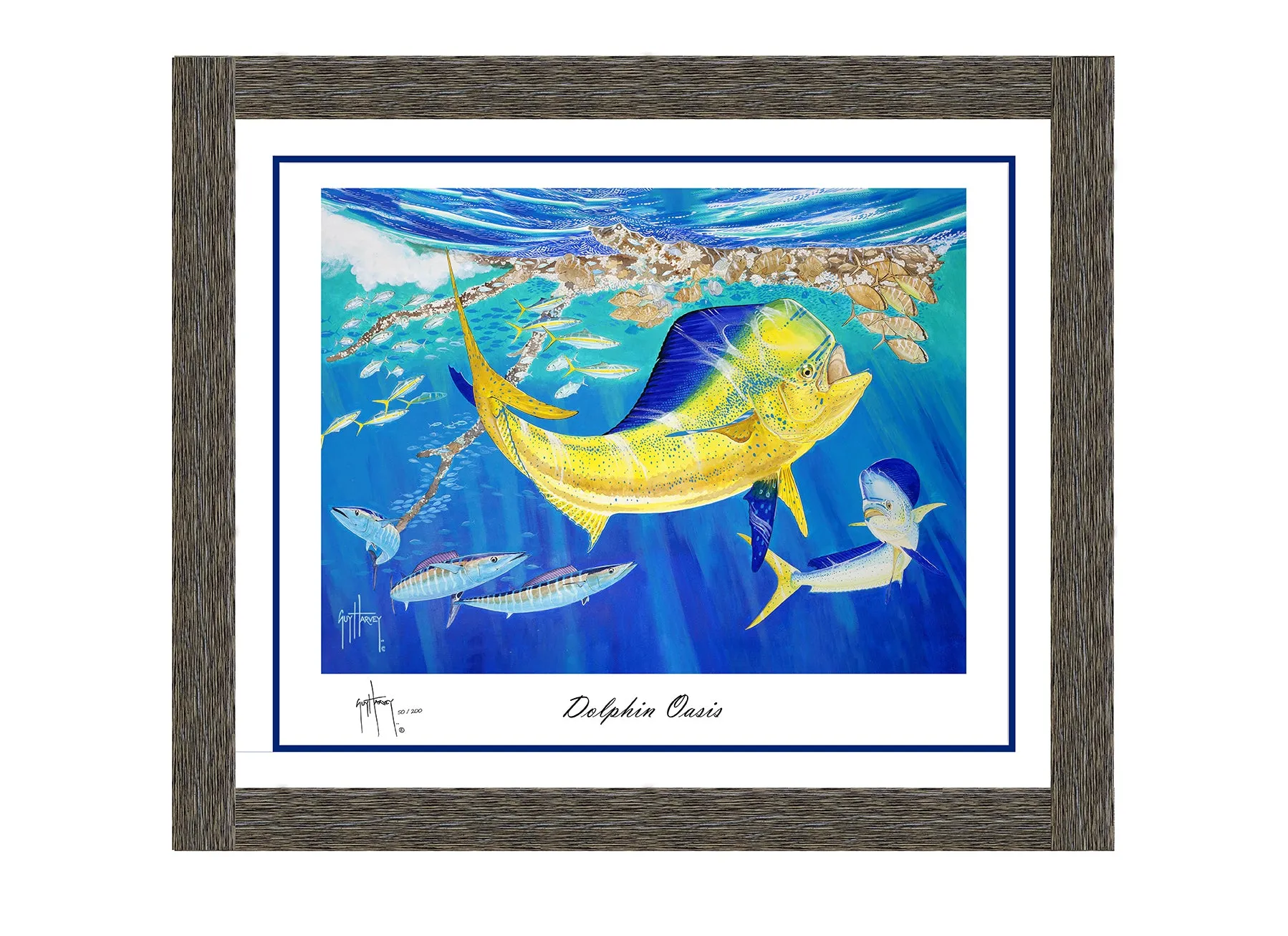 "Dolphin Oasis" Limited Edition Lithograph